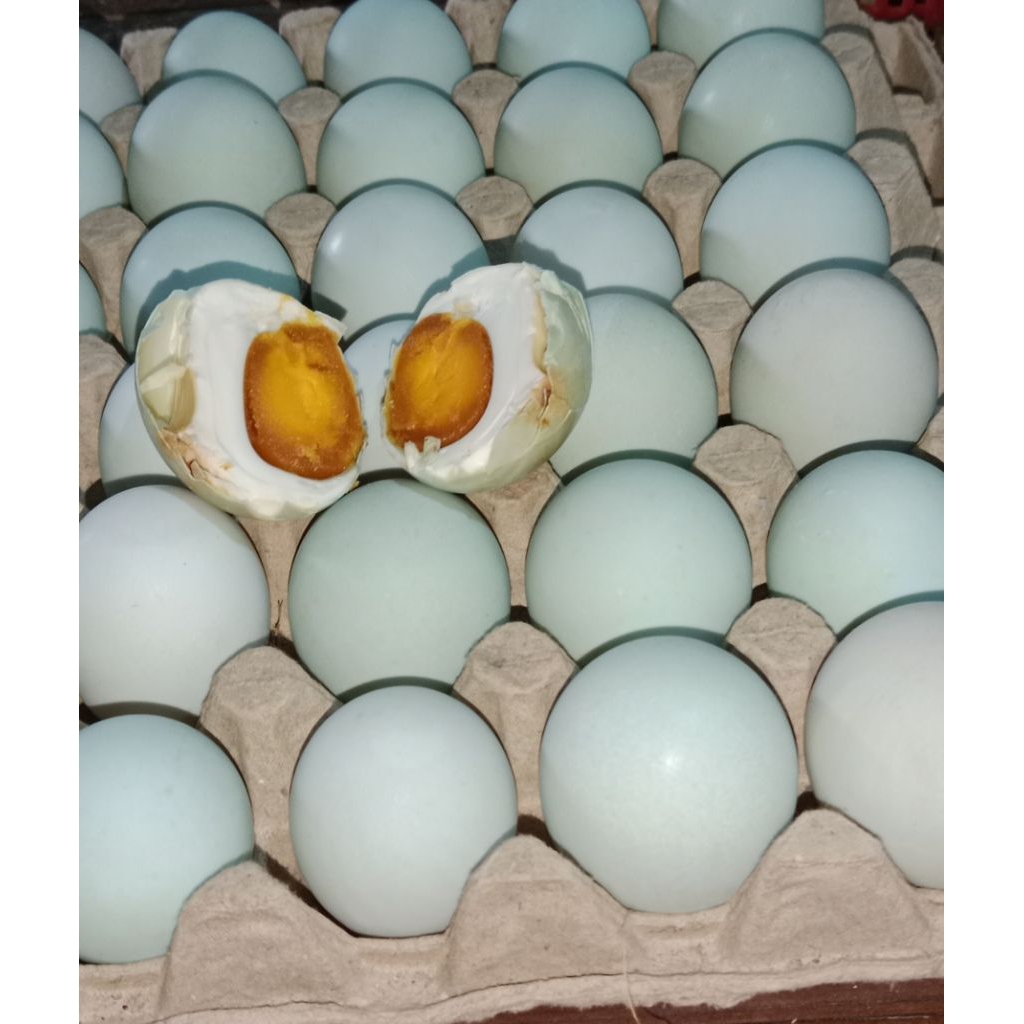 

TELUR ASIN PREMIUM FRESSH
