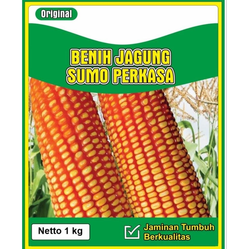 benih jagung sumo perkasa