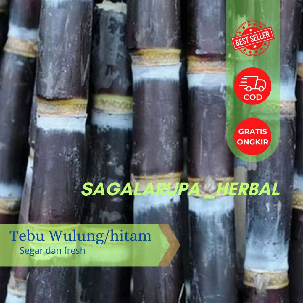 

Tebu wulung/tebu hitam asli per 1 batang 20 cm