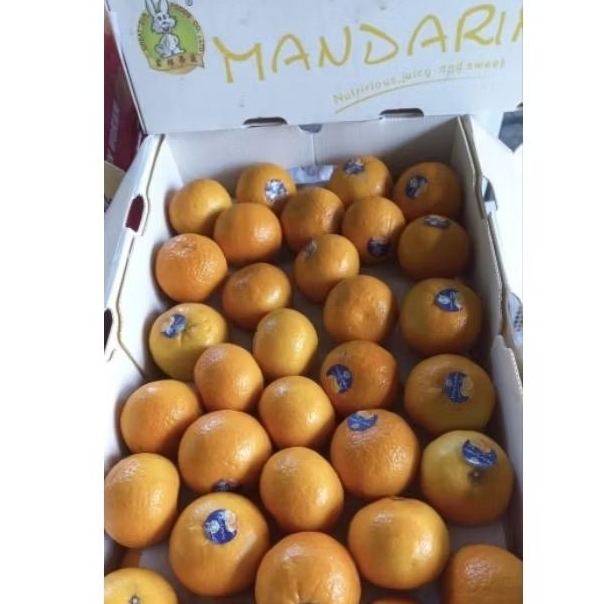 

Jeruk Wogan Great Sun Manis 1 Dus 9,5 Kg Per Box Fresh Jogja