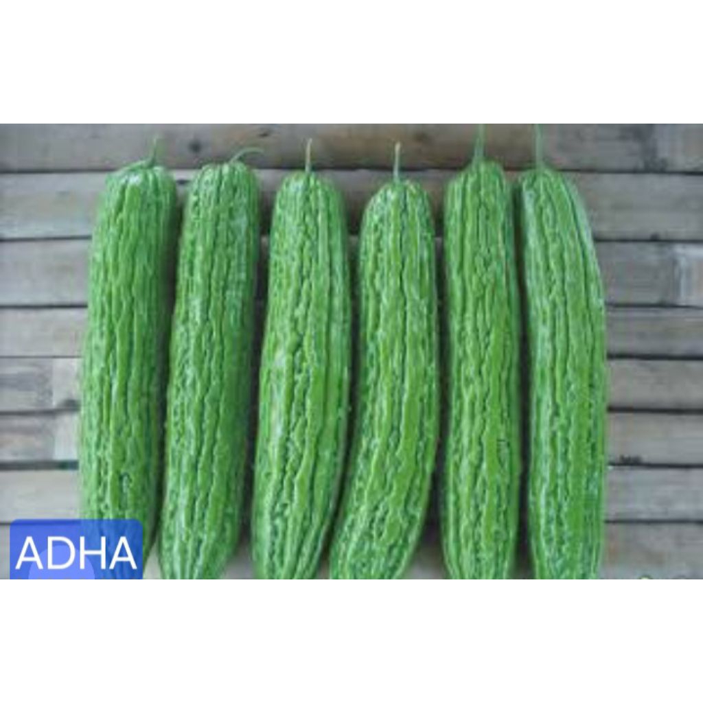 

SAYUR PARE 1KG INI BUAH.NYA YA, BUKAN BIBIT.