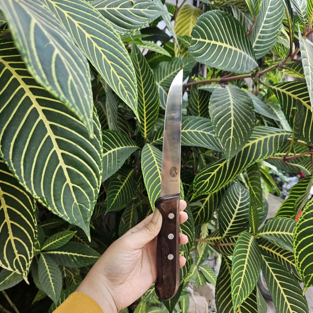 

Victorinox Rosewood Boning 15cm Stamp Lama