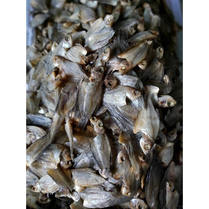 

Ikan Sepat Asin – Ikan Kering Gurih Lauk Nasi Hangat