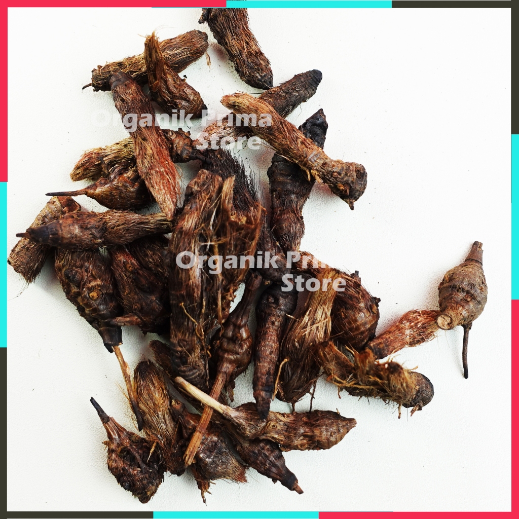 

Umbi Teki Kering 100gr Asli dan Organik