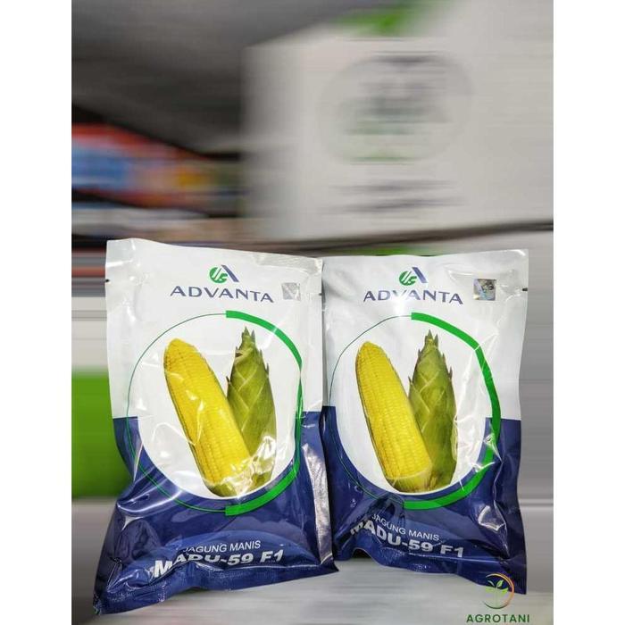

PROMO SPECIAL !!! Benih Bibit Jagung Manis Madu 59 F1 250 gr Advanta