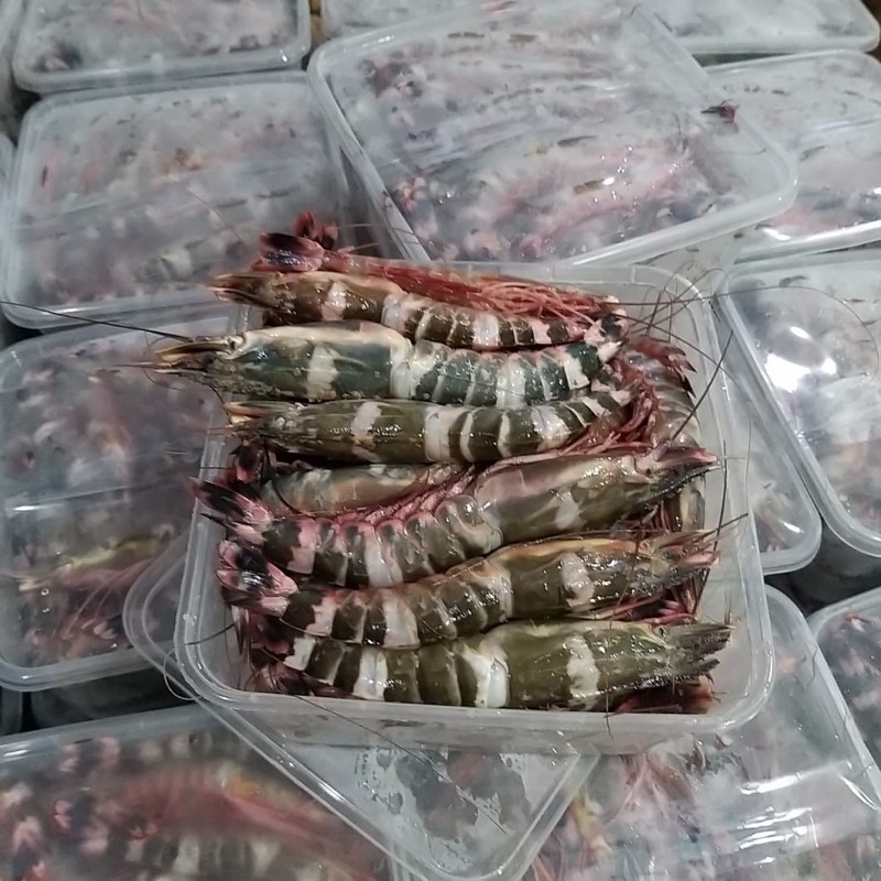 

Udang Windu Tiger ±900g glazing - Produk Original