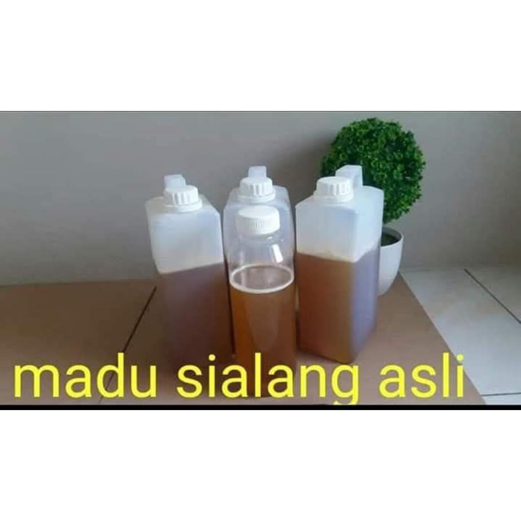 

Madu sialang Asli