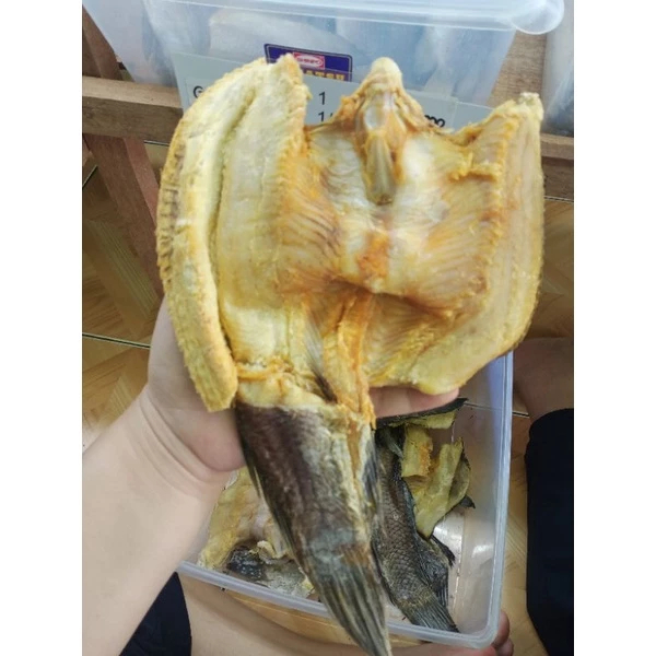 

Ikan Asin Haruan Gabus Kering Asli Kalimantan | Garih Haruan Enak & Gurih