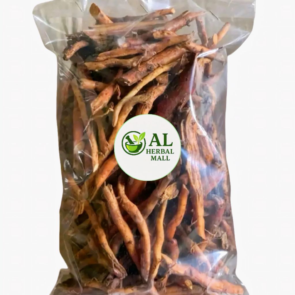 

Akar Pohon Pinang Fres Segar 500Gram Organik