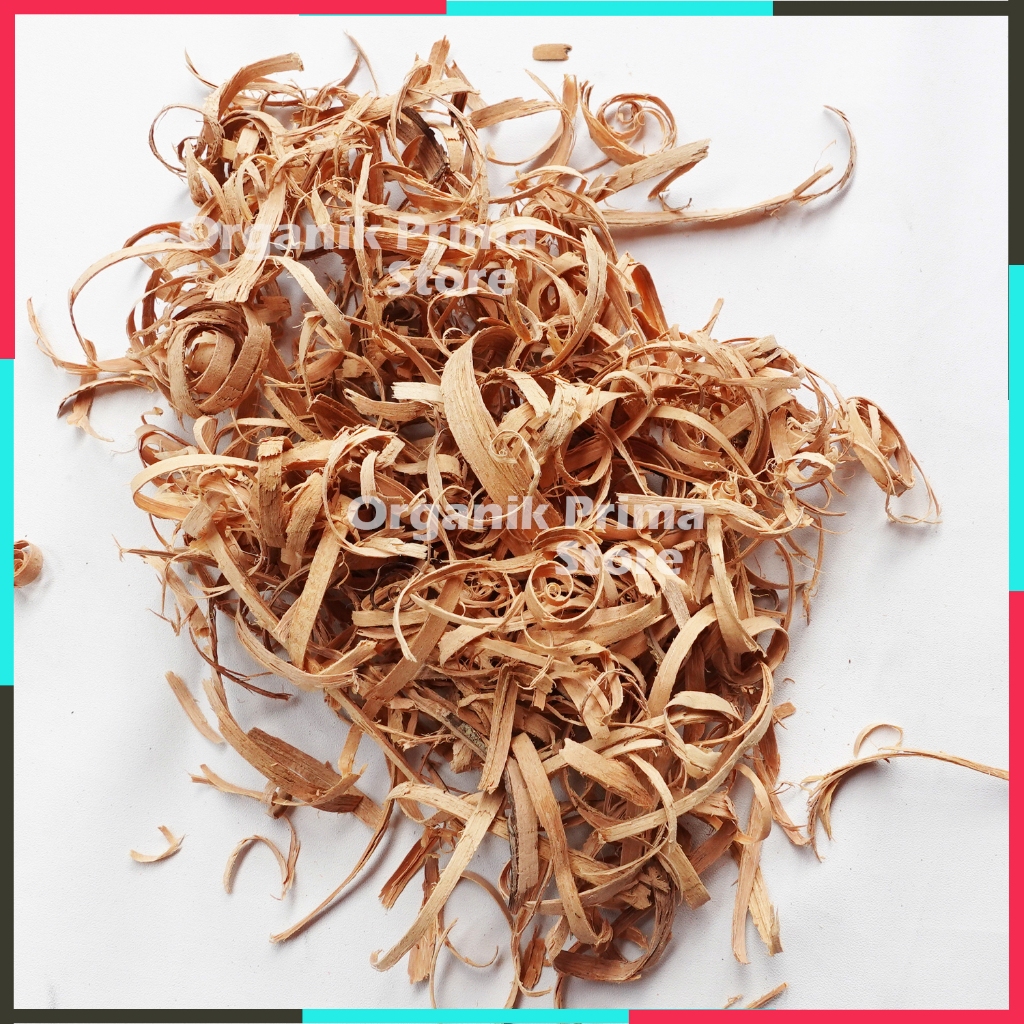 

Bidara Laut Kering 100gr Widoro Asli Bersih dan Organik