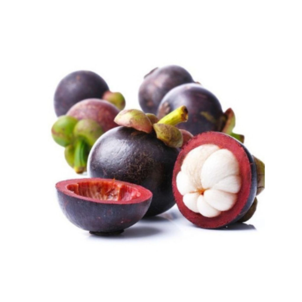 

Manggis Kualitas Export