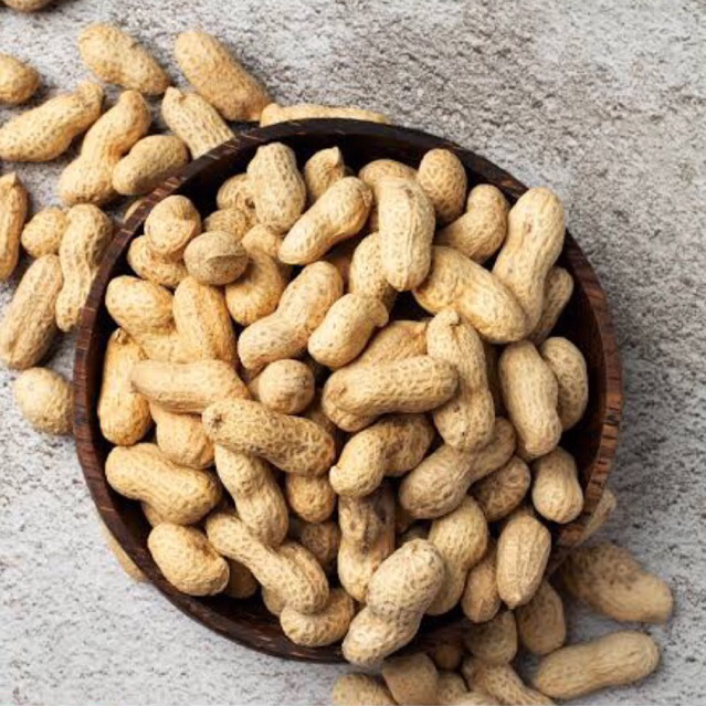 

Kacang Tanah Mentah 1kg | Kacang Kulit Mentah | Kacang Tanah Kering