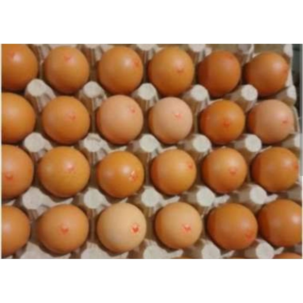 

Telur Organik Royal Size Kecil