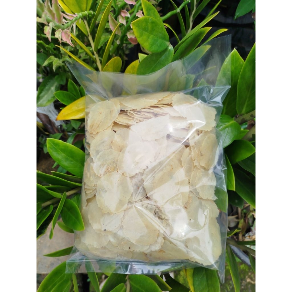 

EMPING MELINJO LIMPUNG SUPER TIPIS SP KEMASAN 250gr 500gr 1kg