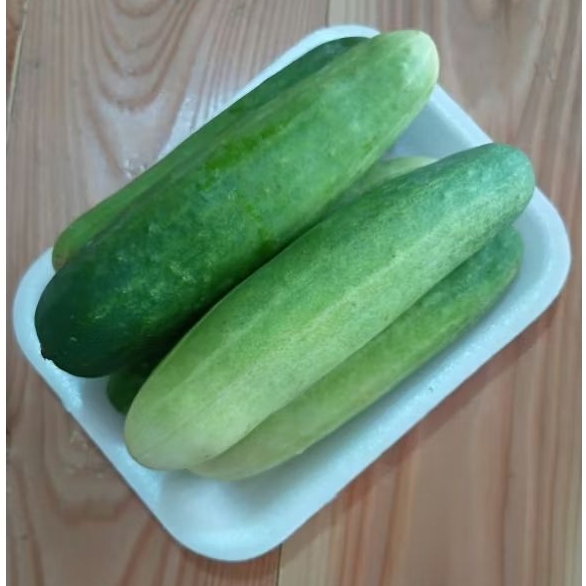 

timun lalap segar 250gr