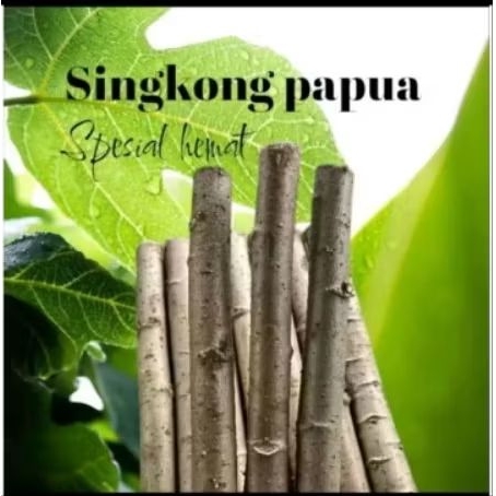 

Singkong Papua / Telo-Telo – Umbi Segar Serbaguna untuk Masakan & Pakan Ternak