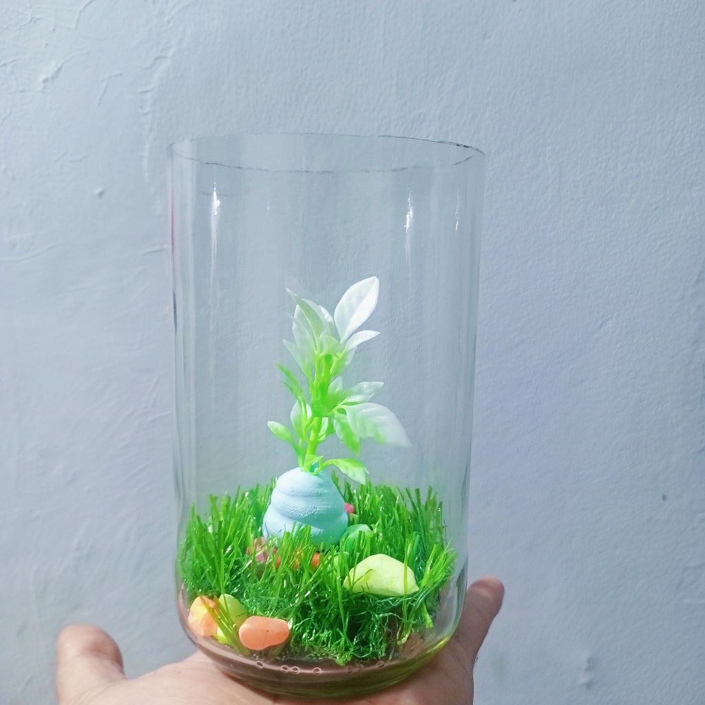 Aquarium kaca ikan cupang botol cupang soliter cupang satu set aquarium wadah cupang jar kaca cupang