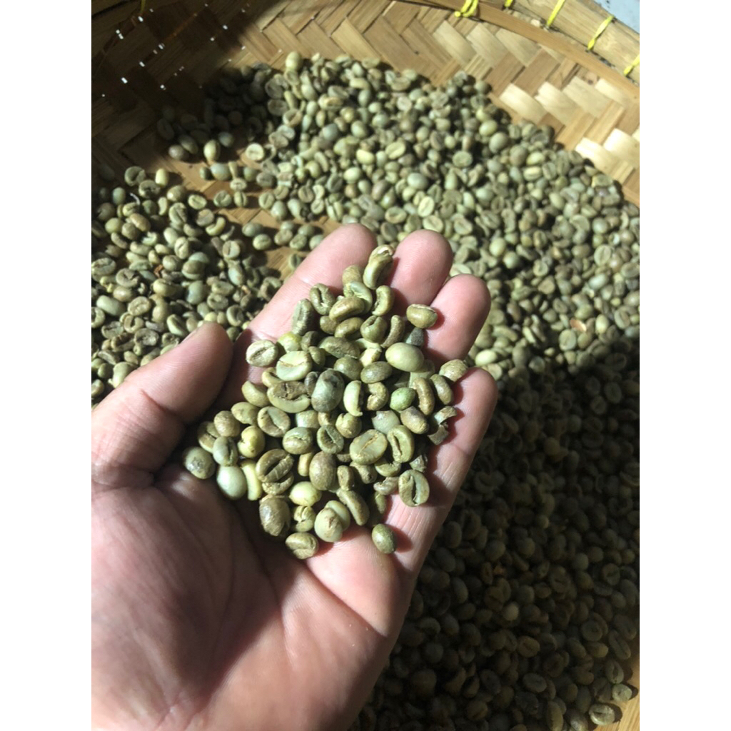 

PROMO TERMURAH Kopi Jawa Greenbean Robusta Biji Besar Natural Gunung Muria 1 Kg