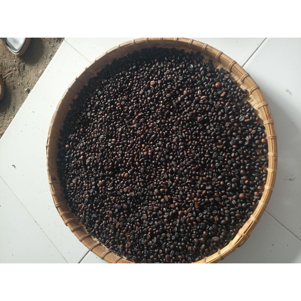 

Biji Kopi Arabika Sangarai Asli Lombok