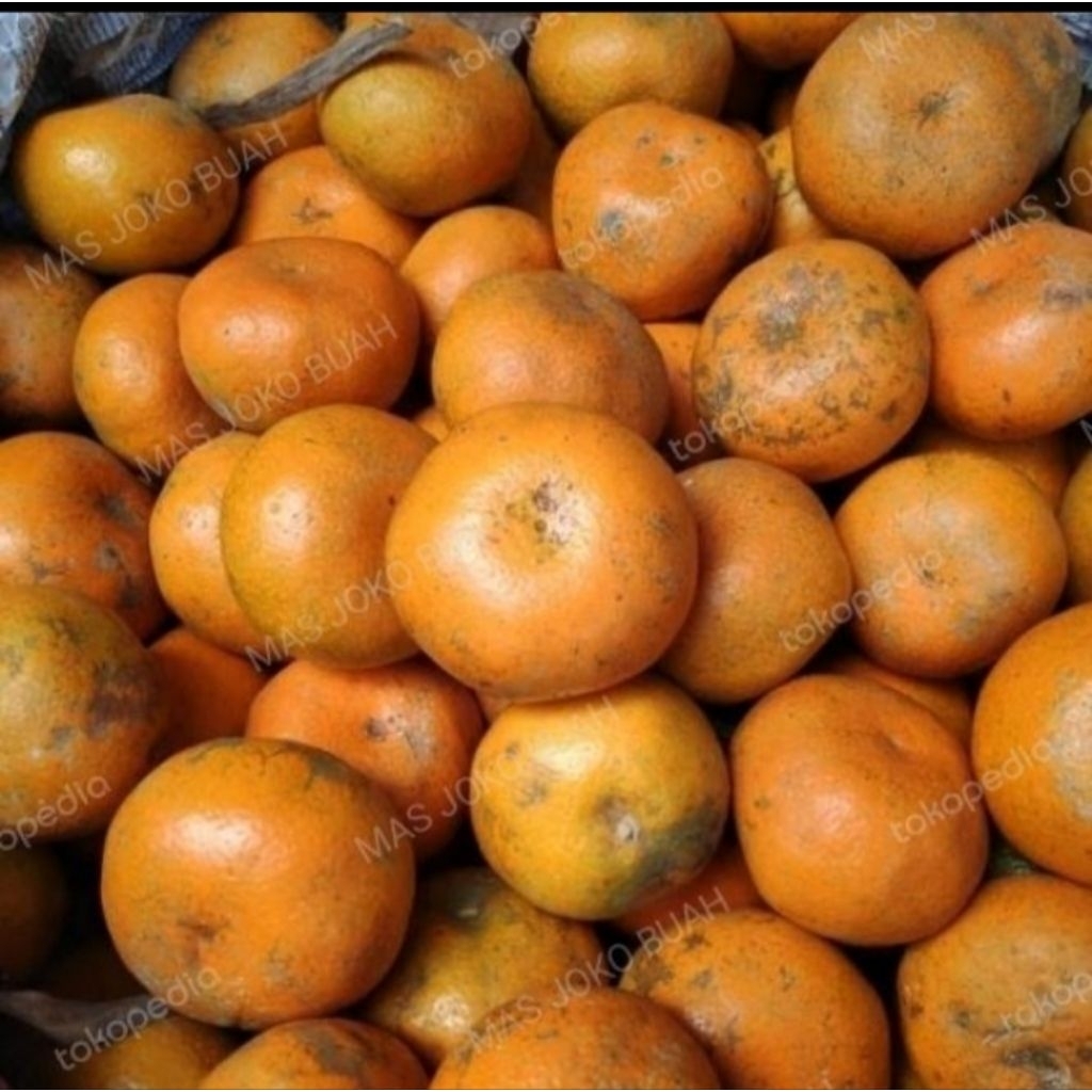

Jeruk Medan 500Gram