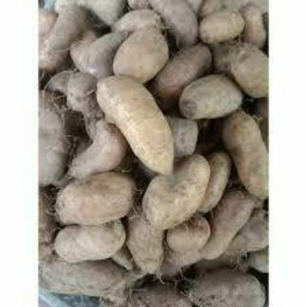 

kentang bulu kentang ireng 500gr