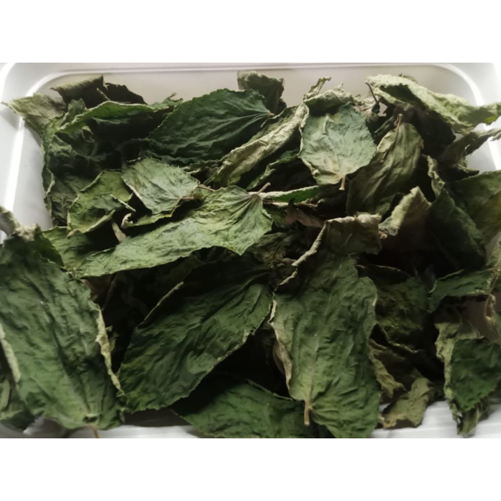 

DAUN KERSEN KERING 100% NON KIMIA 10 GR / TALOK / OBAT HERBAL / UNTUK KOLESTEROL