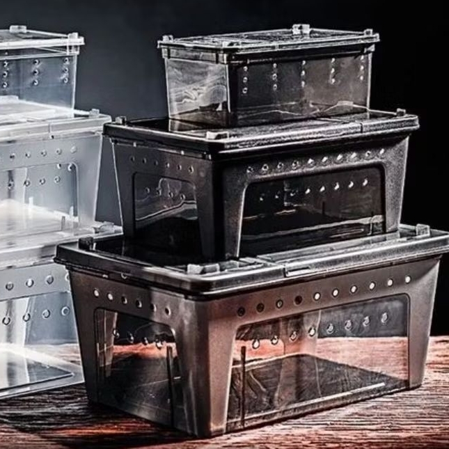 Kandang box reptil transparan