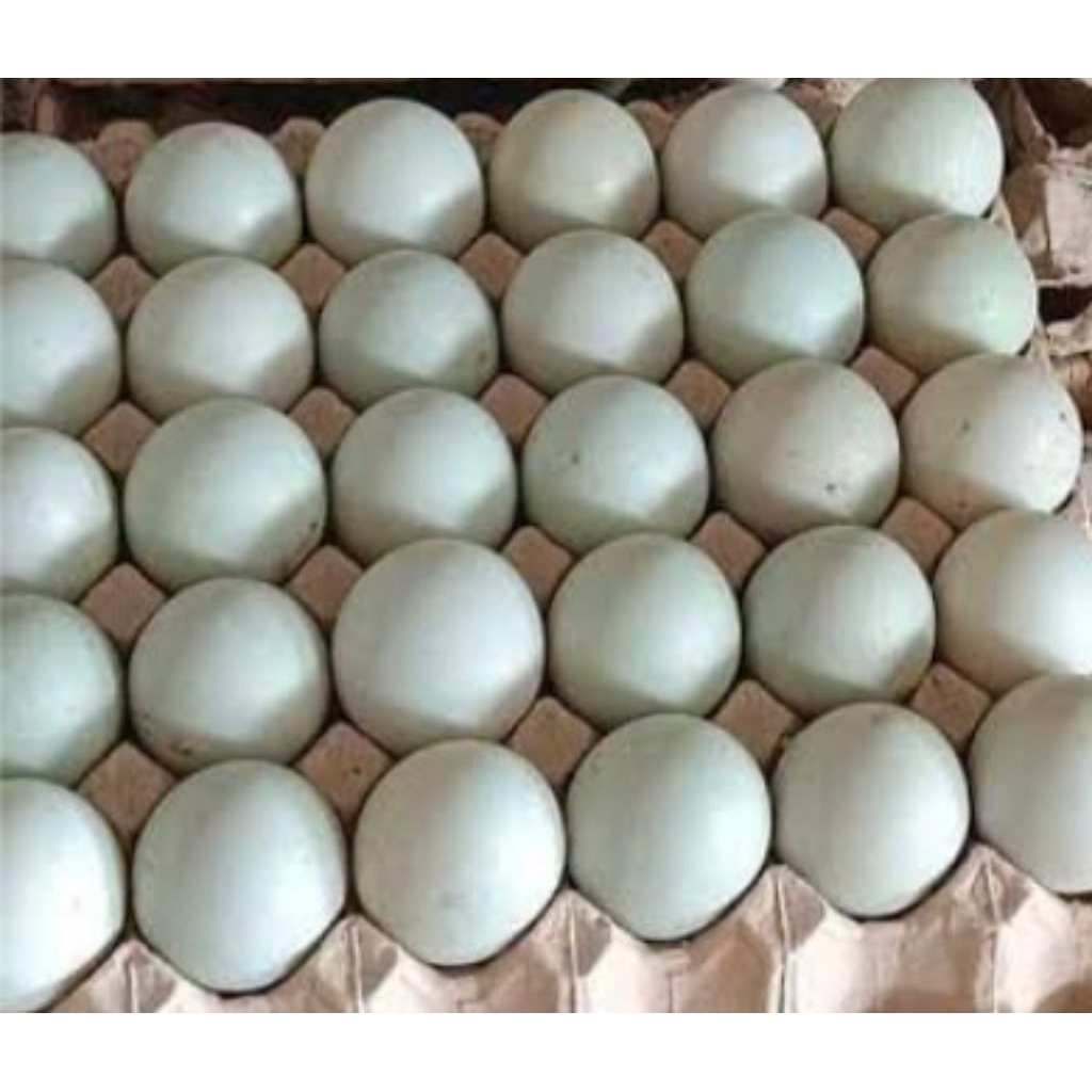 

Telur Bebek (30 butir/papan)