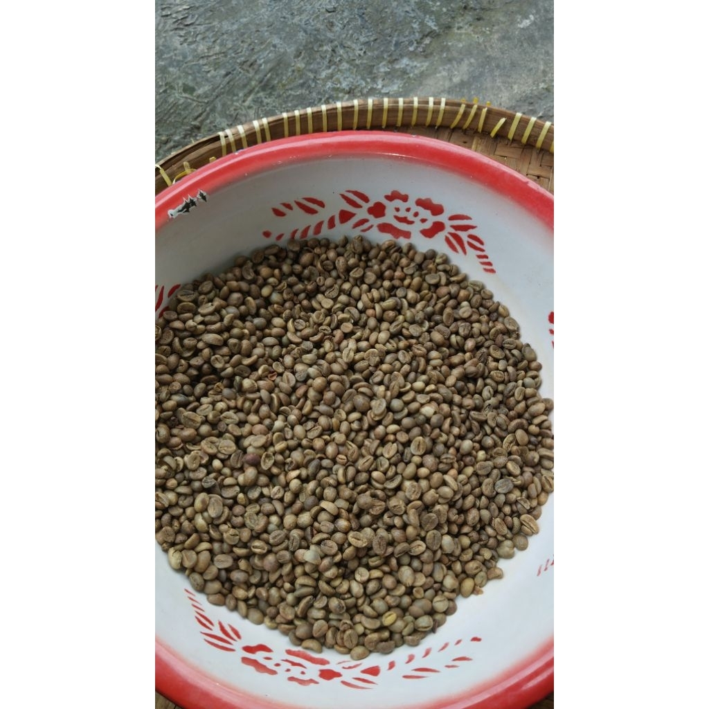 

Green Beans robusta dampit