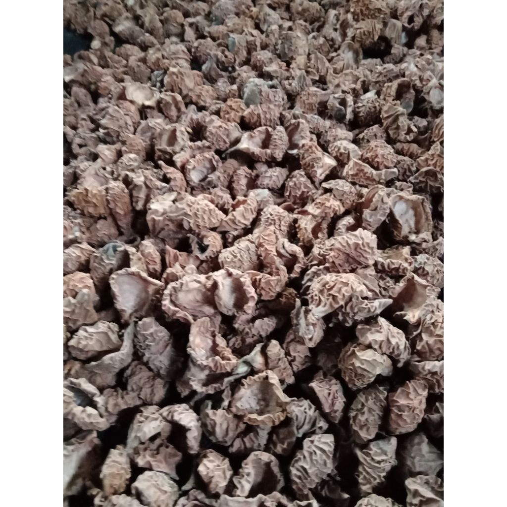 

KULIT PALA KERING/ 1 KG