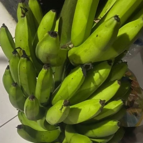 

Buah Pisang Mentah PPR MHK PRM BX Pisang Bangkaulu