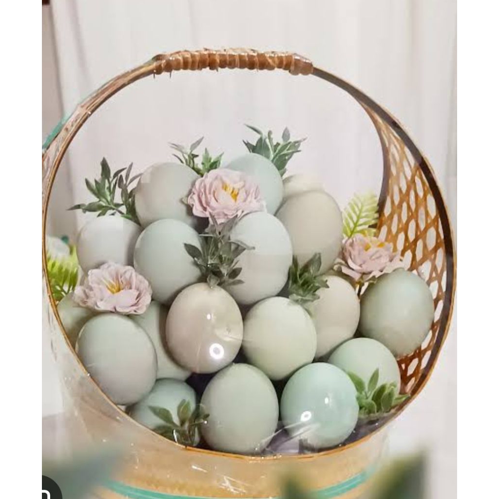 

TELUR ASIN BEBEK ANGON OMEGA 5 pcs & TAPE KETAN LEGIT 15pcs( GRATIS PACKING BABLE WARP)