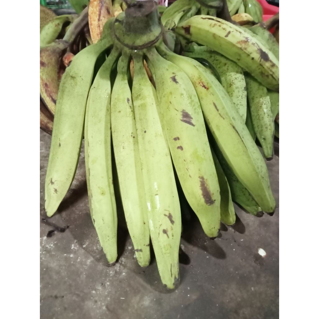 

Pisang tanduk mentah tua
