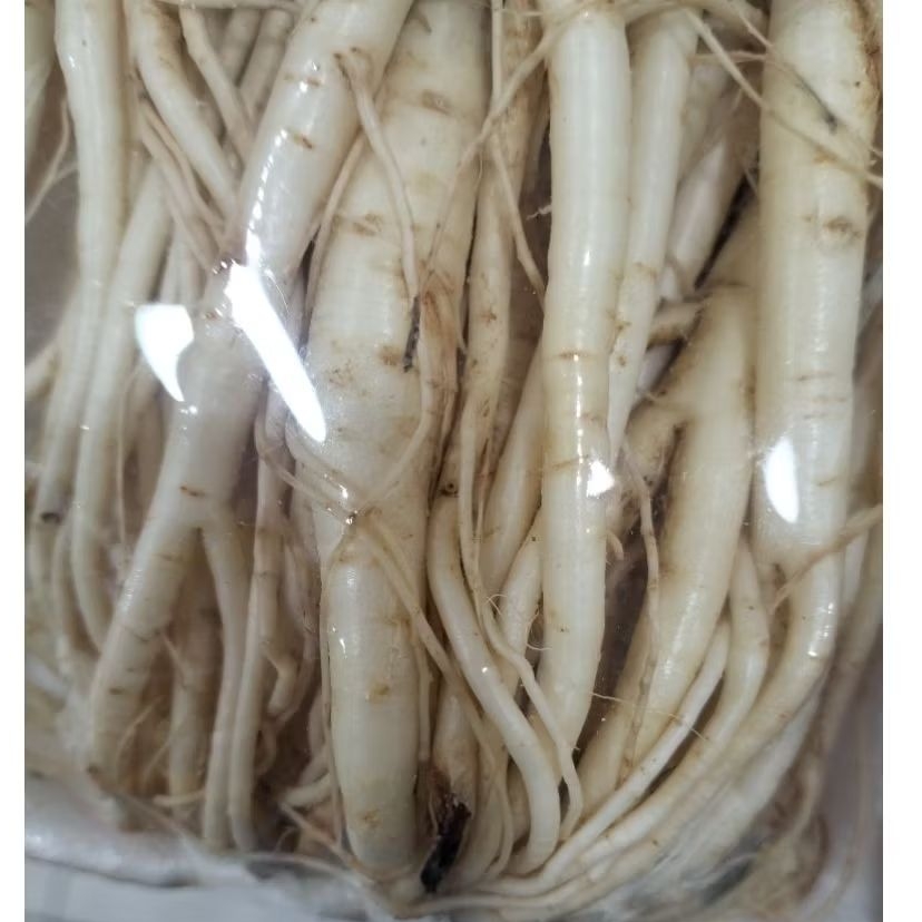 

Doraji basah 200gram