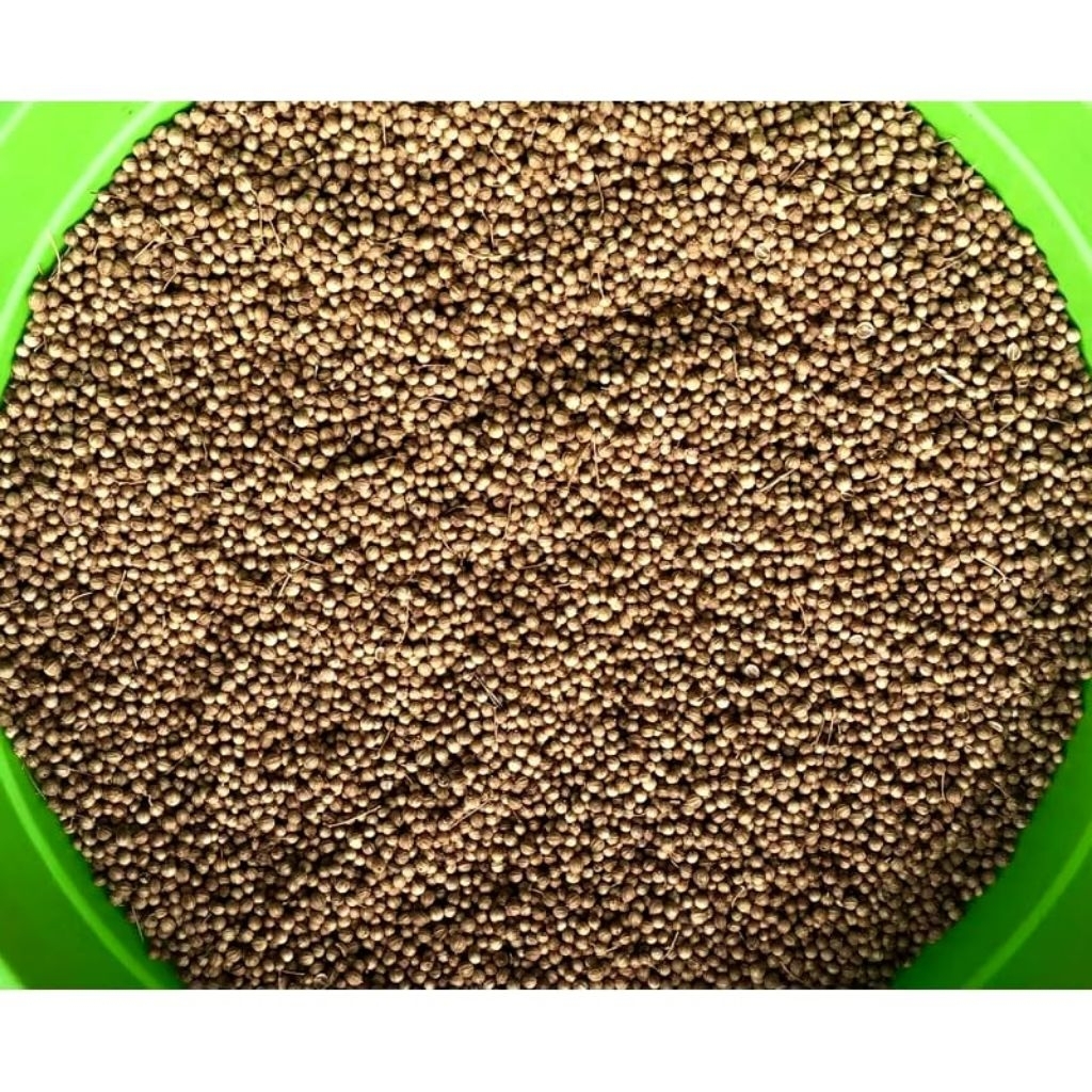 

Ketumbar bulgaria original /coriander seeds 1kg
