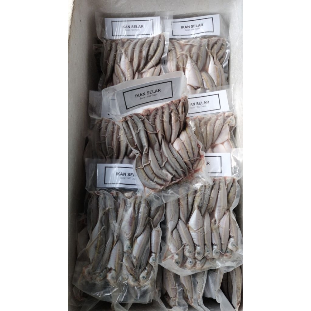 

ikan Selar bersih 500gr