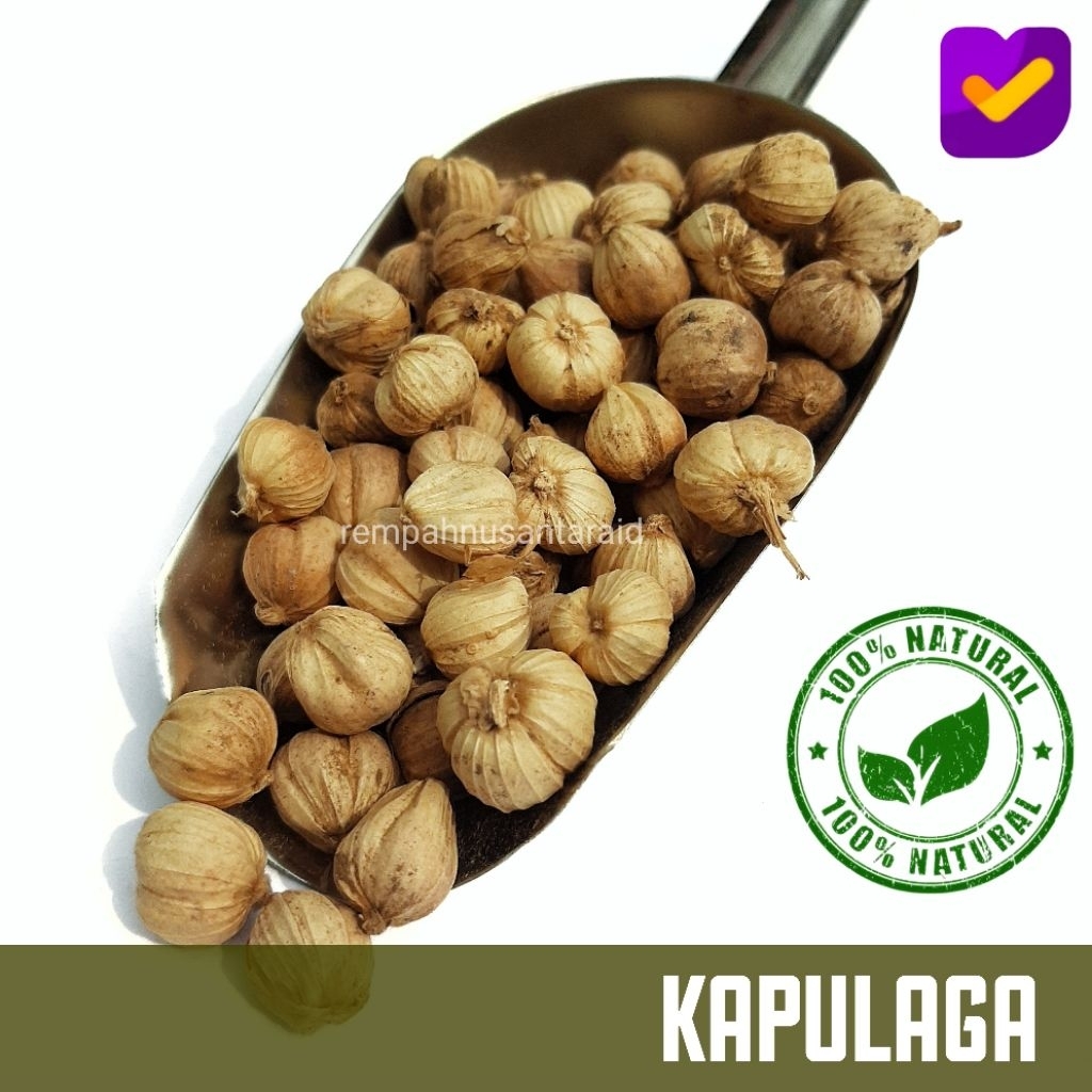 

Kapulaga Kapol Tanpa Pemutih