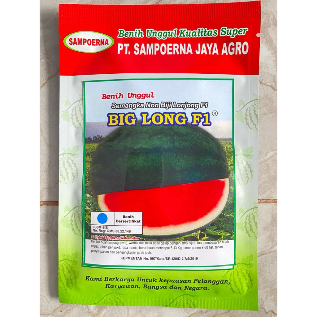 Semangka Non biji lonjong Oval BIG LONG F1