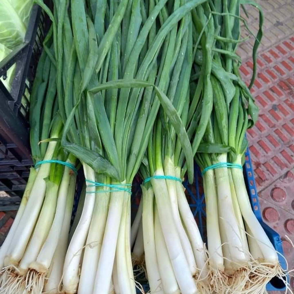 

Daun Bawang Eceran & Grosir