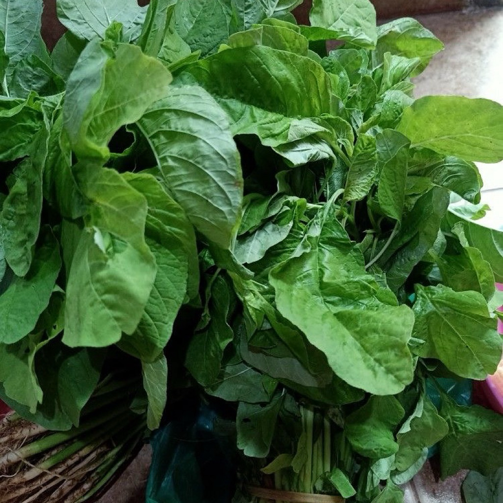 

Bayam Lokal Harian – Siap Masak