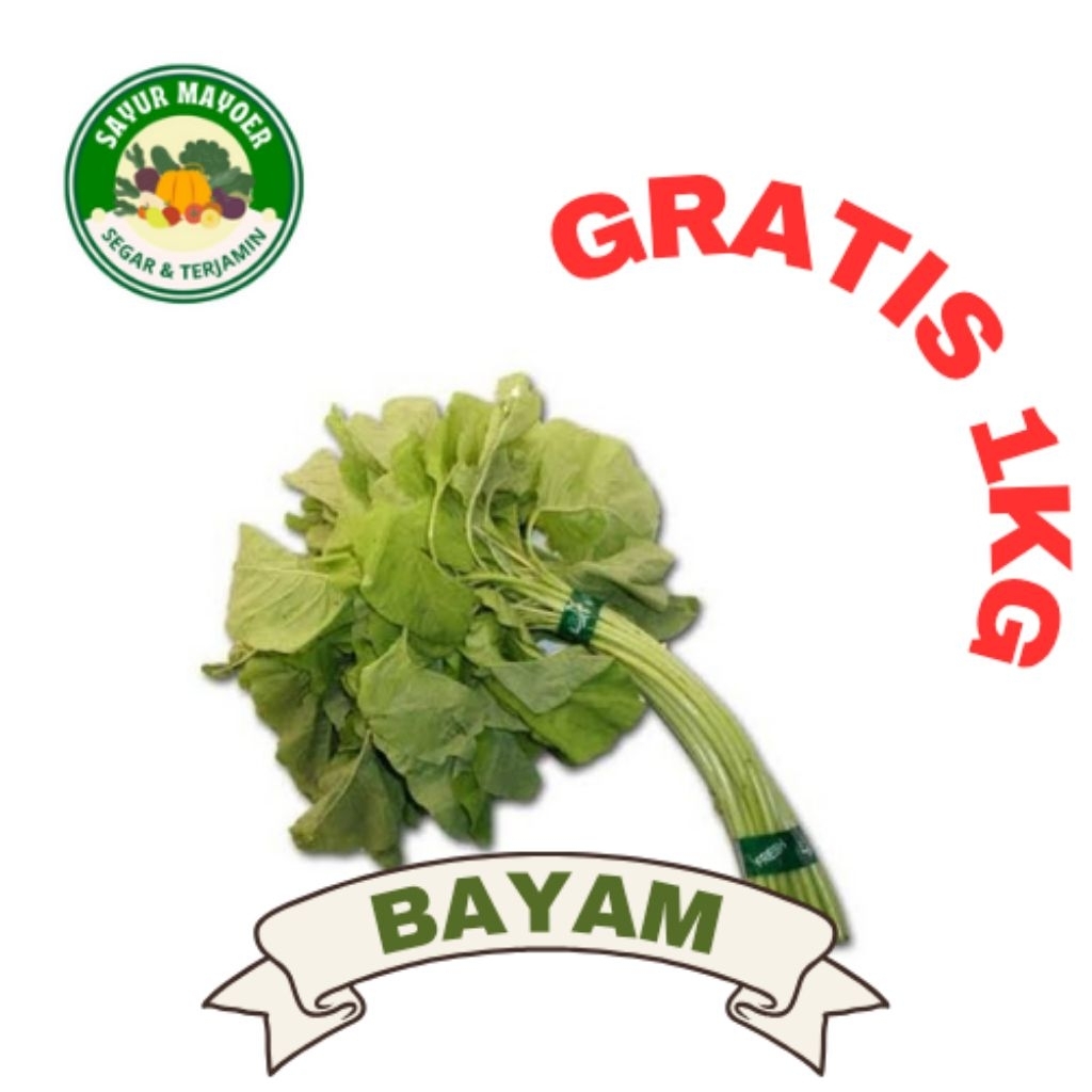 

BAYAM FRESH per ikat