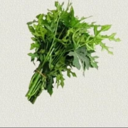 

Daun pepaya jepang segar, daun pepaya Jepang fresh, diambil saat order masuk