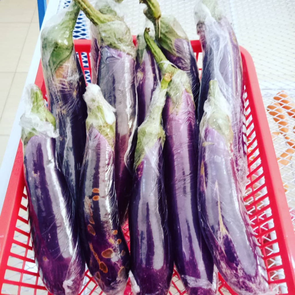 

Terong Ungu padang fresh seger 1kg