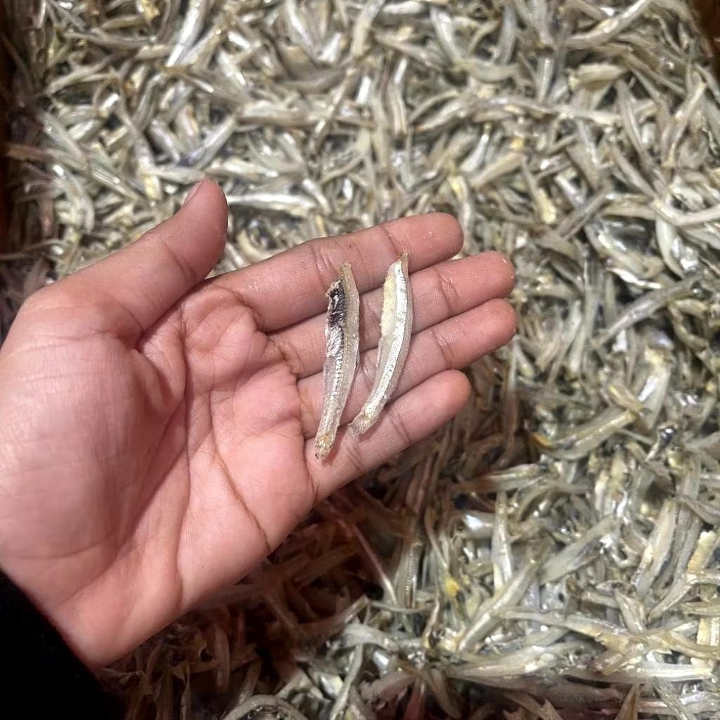 

TOKO 1 (TERI JENGKI BELAH)