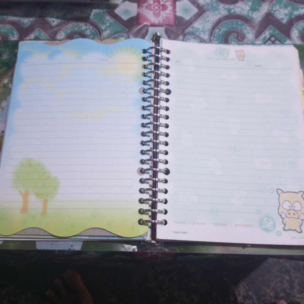 

All in Binder Koleksi pribadi binder dan isi Koleksi jadul /Binder A5 PAKET 6