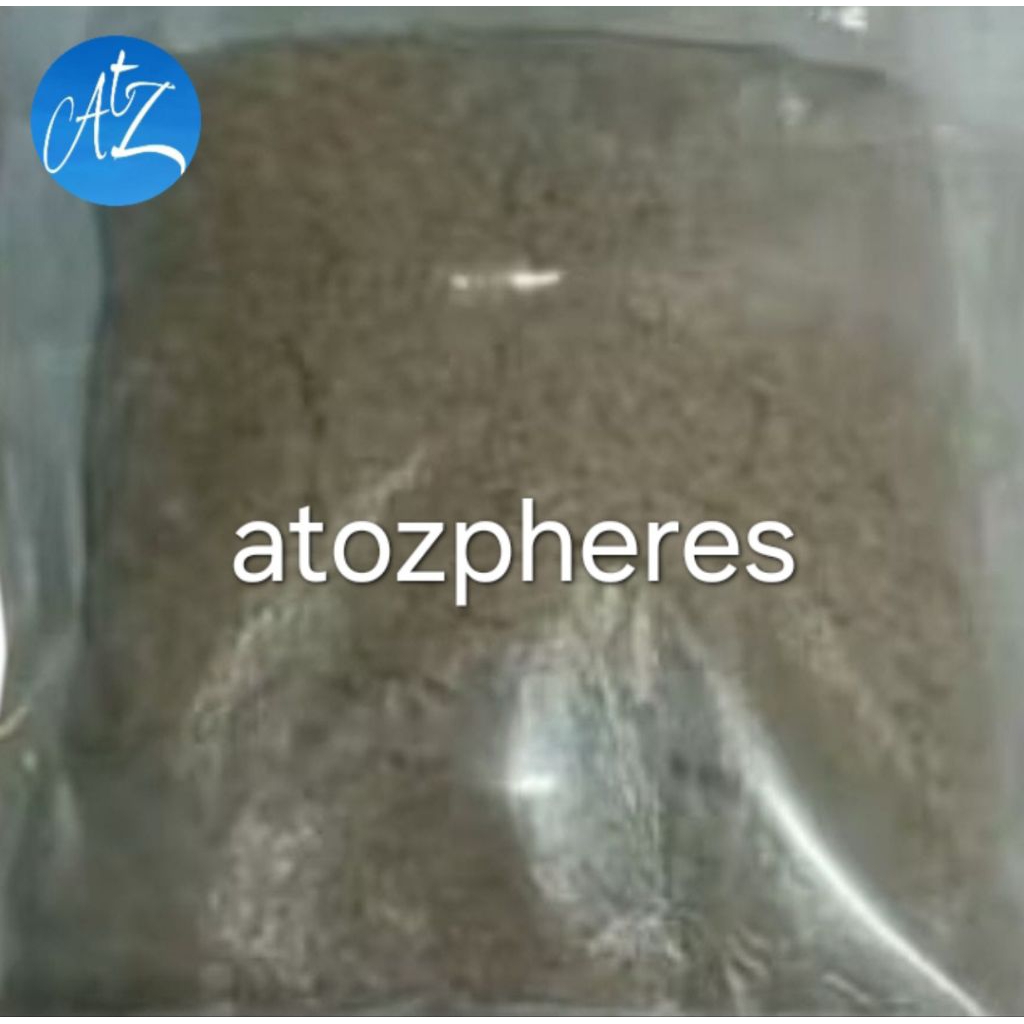 

Nonhalal! Abon ikan huhu hu hu kering garing Flores premium fish floss homemade Medan tanpa pengawet MSG