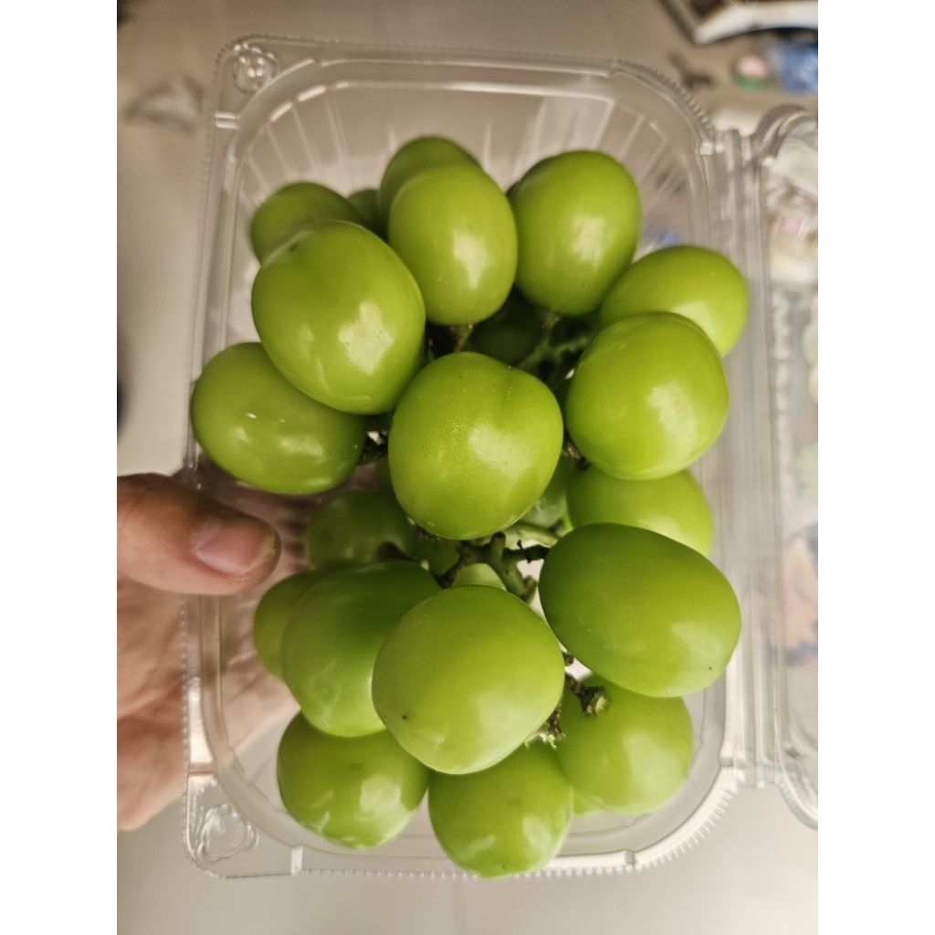 

Anggur shine muscat manis, green grape