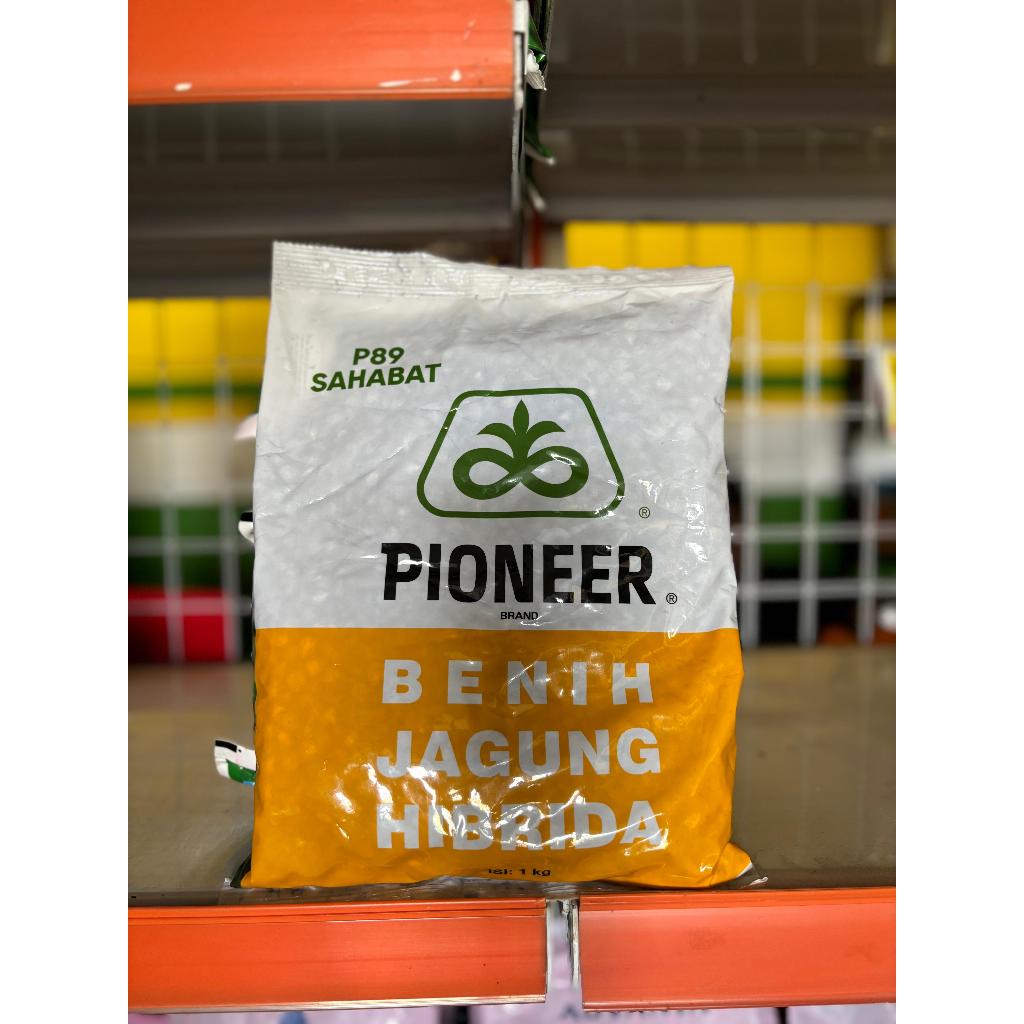 Benih Jagung Pioneer P89 Hibrida 1kg