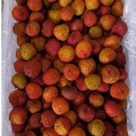 

Buah Lecyhe Madu Per 1 Bok krat