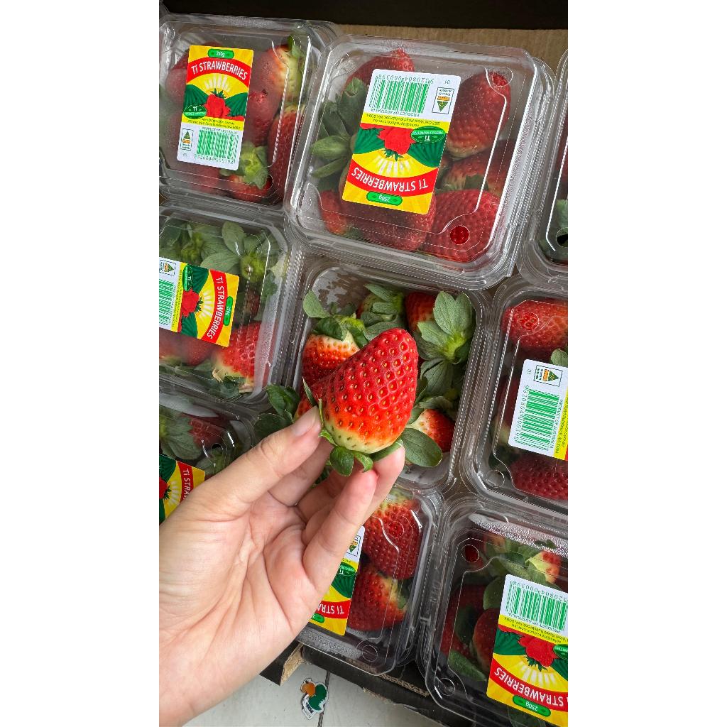

Strawberry Australia (PACK)
